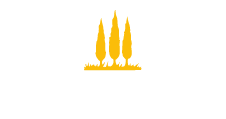 constantini logo header nov